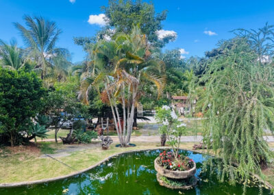 Foto mostrando o nosso jardim e nosso lago