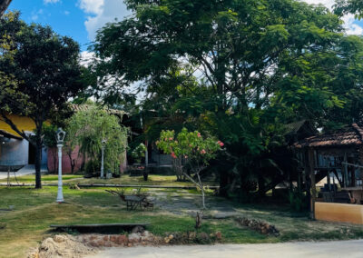 Uma foto do nosso jardim