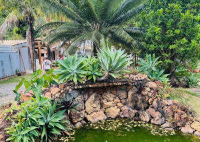 Foto mostrando a fonte que fica em nosso jardim